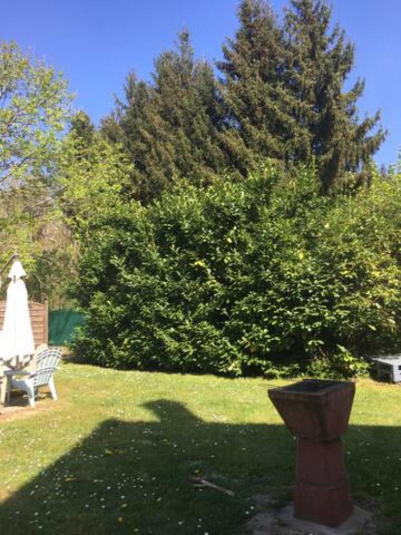 Gite Cosy Proche Fontainebleau Et Foret Noisy-sur-Ecole Экстерьер фото
