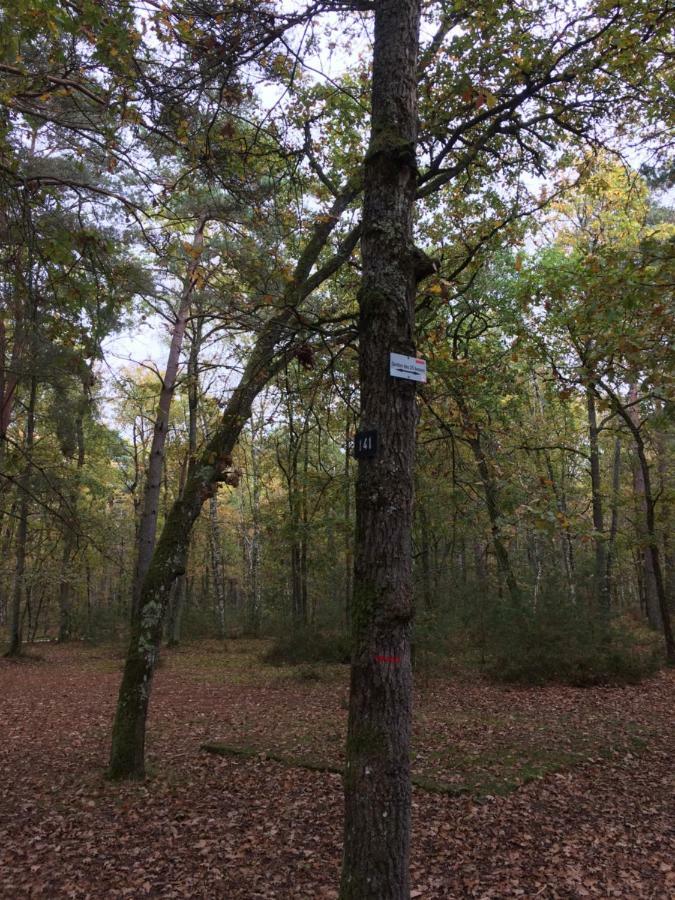 Gite Cosy Proche Fontainebleau Et Foret Noisy-sur-Ecole Экстерьер фото
